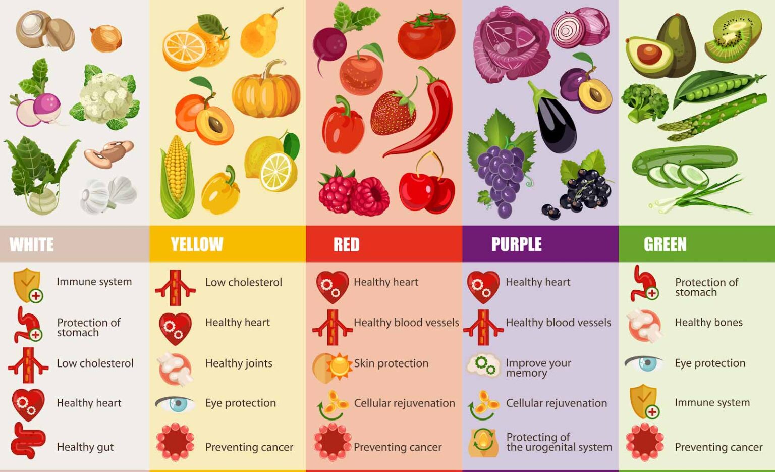 Eat Like a Rainbow The Rainbow Diet Eatology Healthy & Tasty Meal