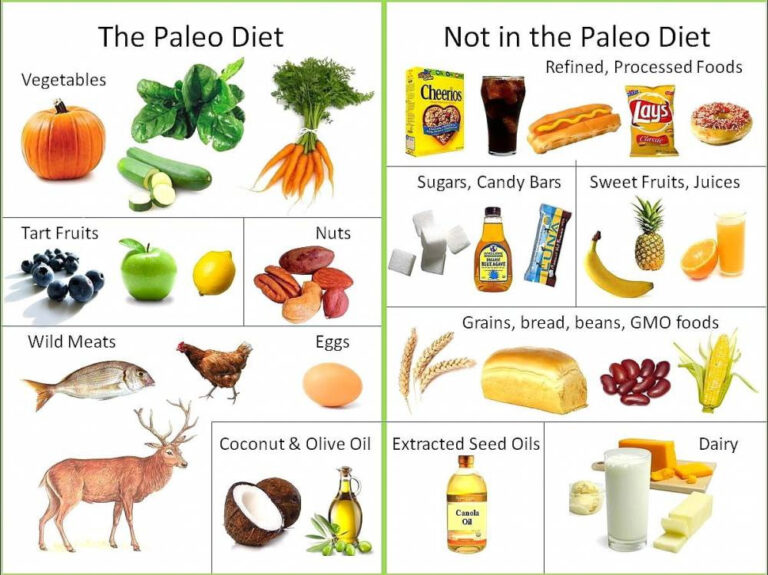 What is the Paleo Diet? | Eatology – Healthy & Tasty Meal Plan Delivery